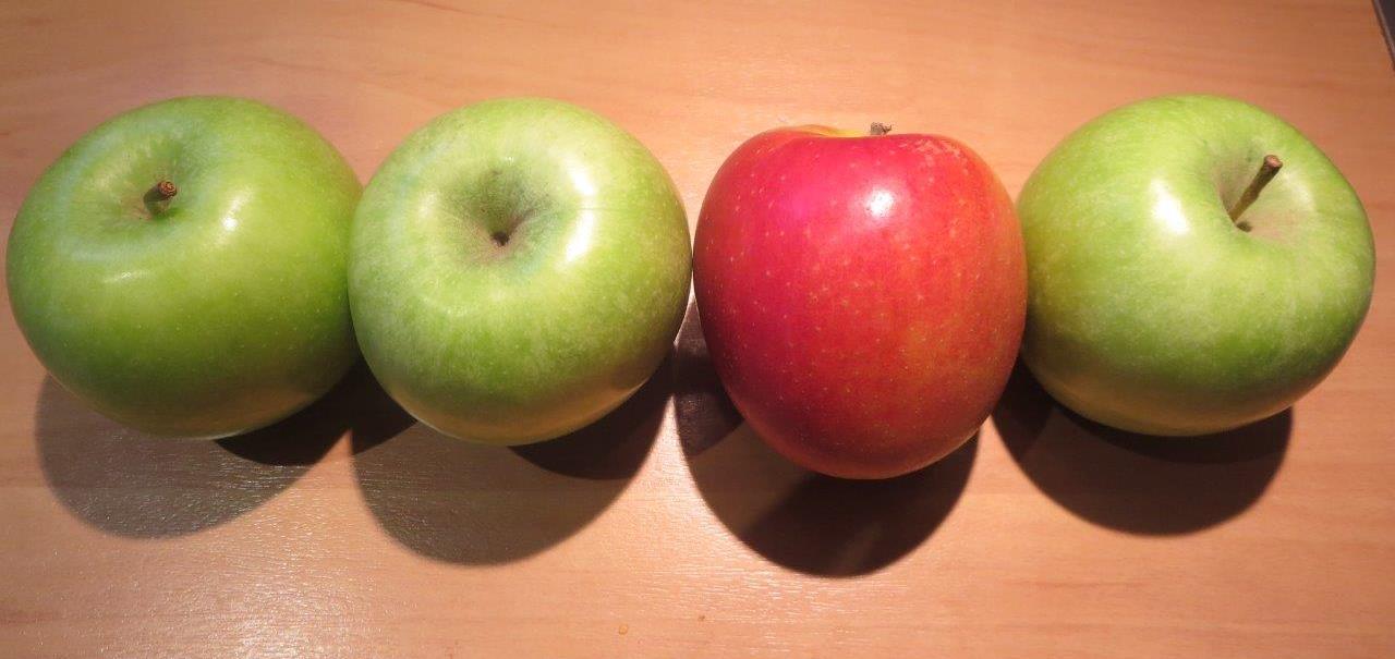 Benchmarking talent management systems